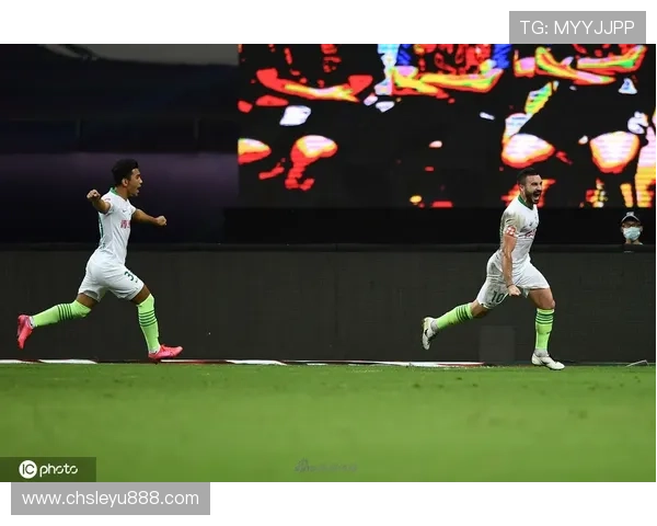 乐鱼网站登录官网优化登录体验的实用技巧与最新更新动态